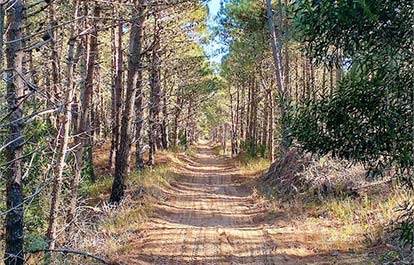 Actividades en Pinamar